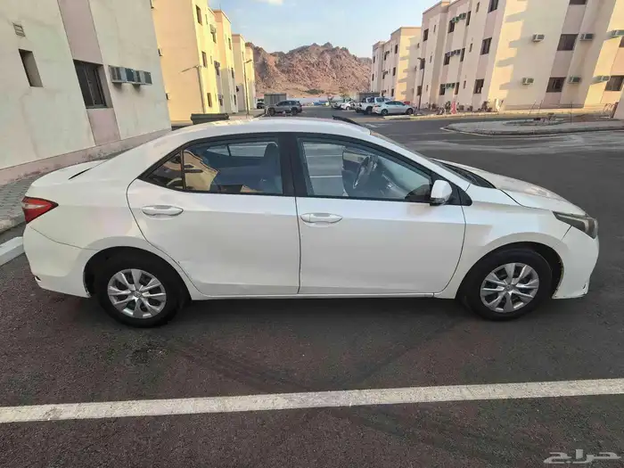 كوريلا 2015 بحاله جيده جدا 10