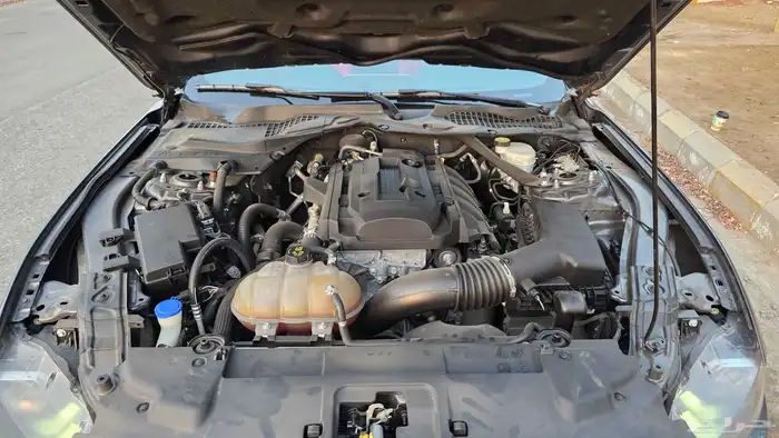 موستنج ايكوبوست V4 2020 كشف نضيف 11