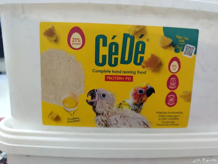 اكل بلبيل.و. وطيور واكل قطط 1