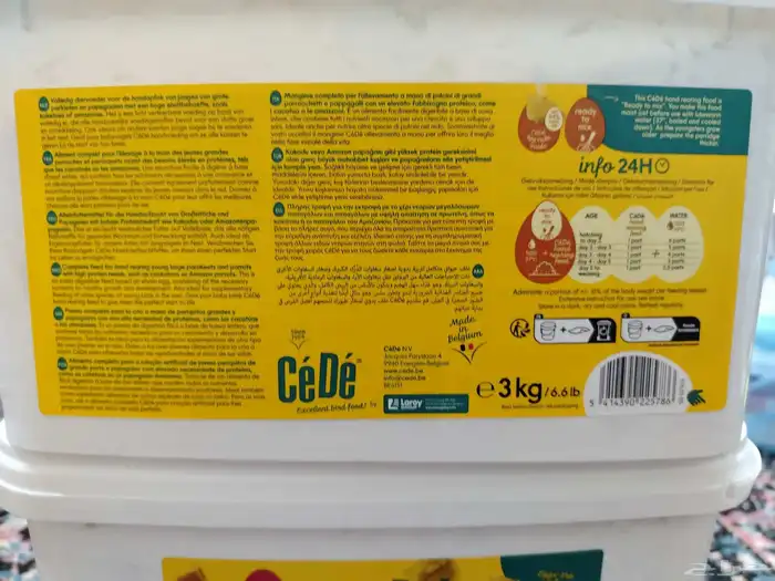 اكل بلبيل.و. وطيور واكل قطط 2