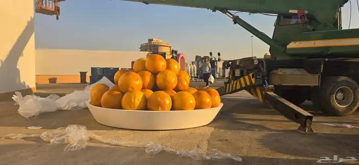 نحت مجسمات فلين جميع الأشكال والاحجام 5