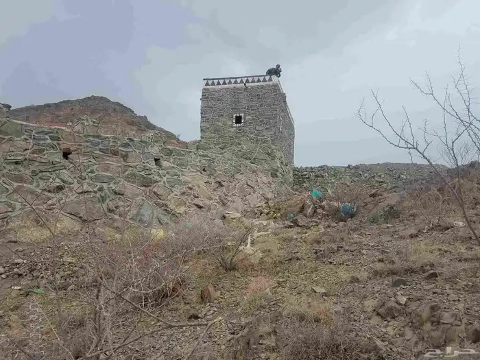 مقاول حجر وتلبيس في ميسان بني سعد 7