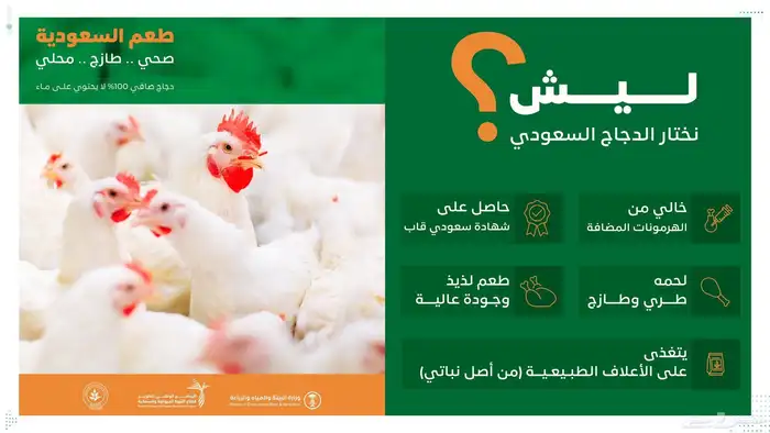 صفوة بلدي للدواجن دجاج مقطع 5