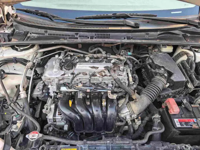 كوريلا 2015 بحاله جيده جدا 9