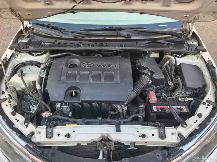 كوريلا 2015 بحاله جيده جدا 8