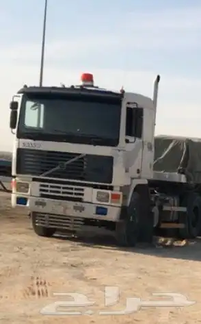 راس فولفو الزاهد 1