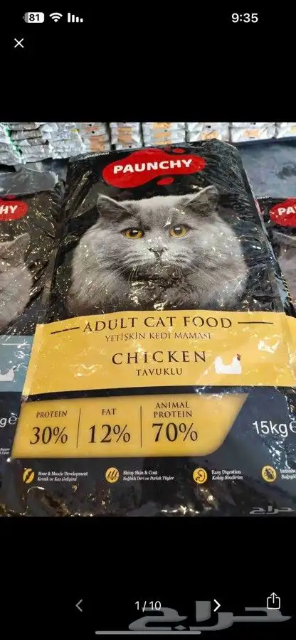 اكل بلبيل.و. وطيور واكل قطط 4