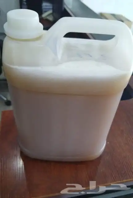 عسل حضرمي بغية 2