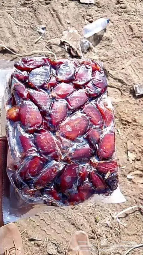 تمور فاخرة جدا 6