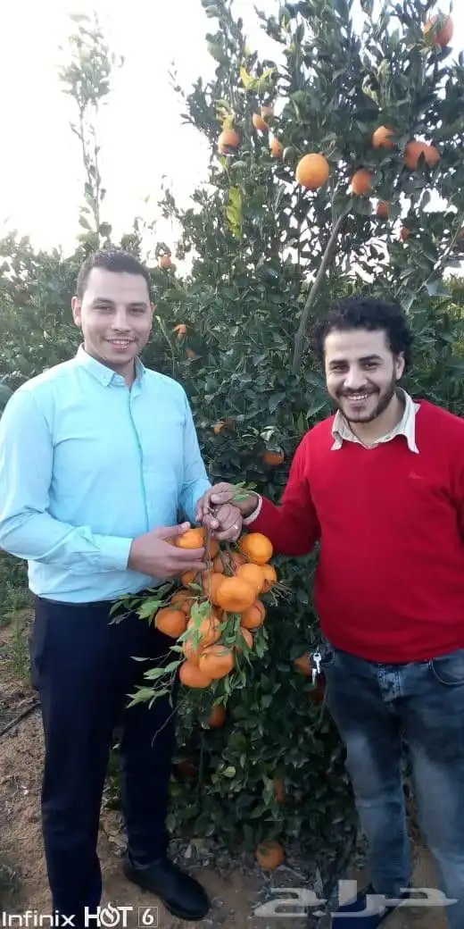 للاستثمار والمشاركه فى نشاط متميز 1