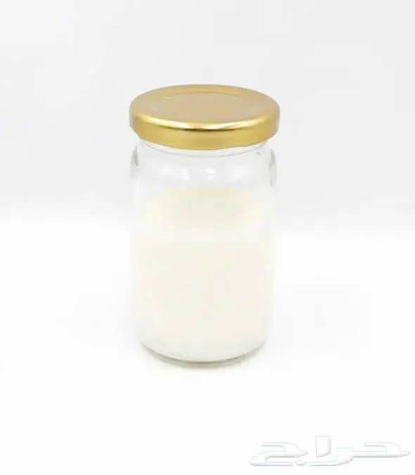 حبوب كفير نشطة قابلة للتكاثر 1