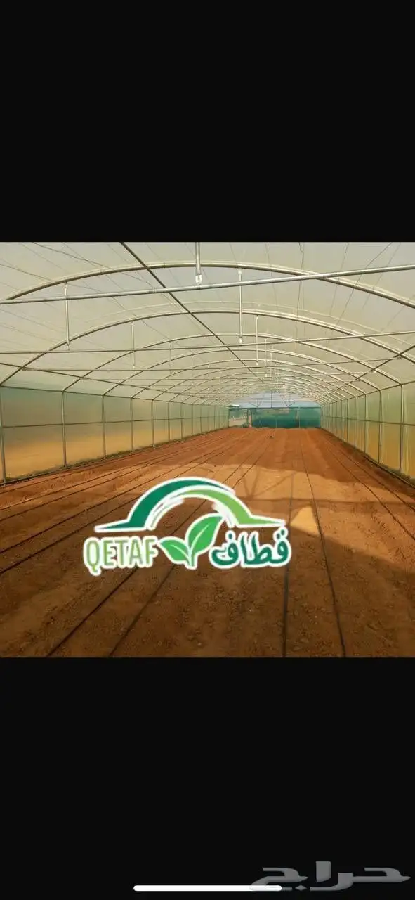 بيوت محمية اردني 2