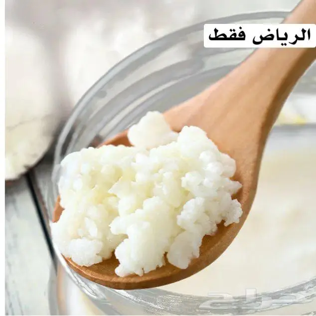 حبوب كفير نشطة قابلة للتكاثر 0