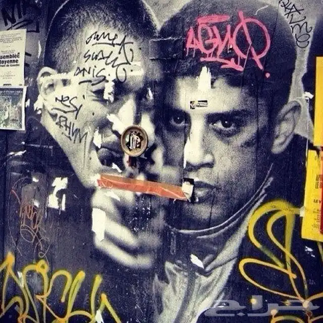 بيع لوح او بوسترات الحبه ب 8 5