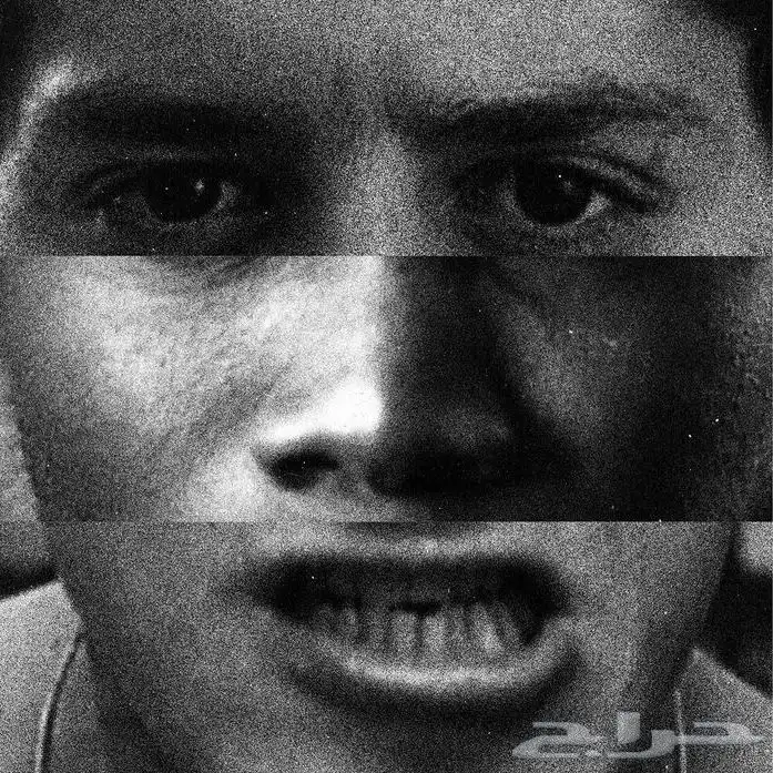 بيع لوح او بوسترات الحبه ب 8 0