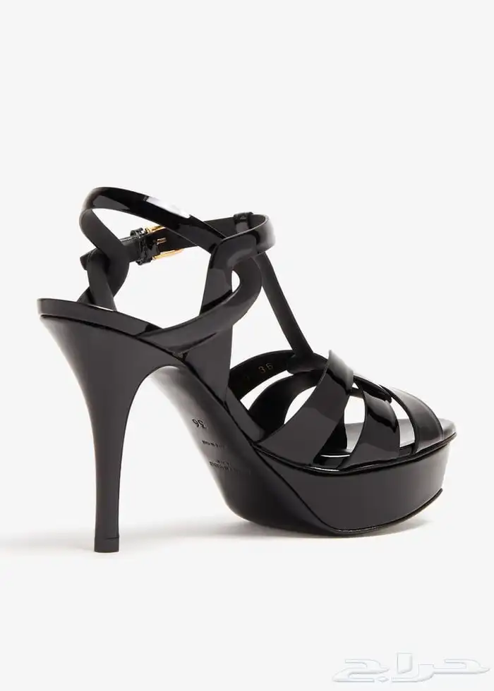 كعب سالوران 1