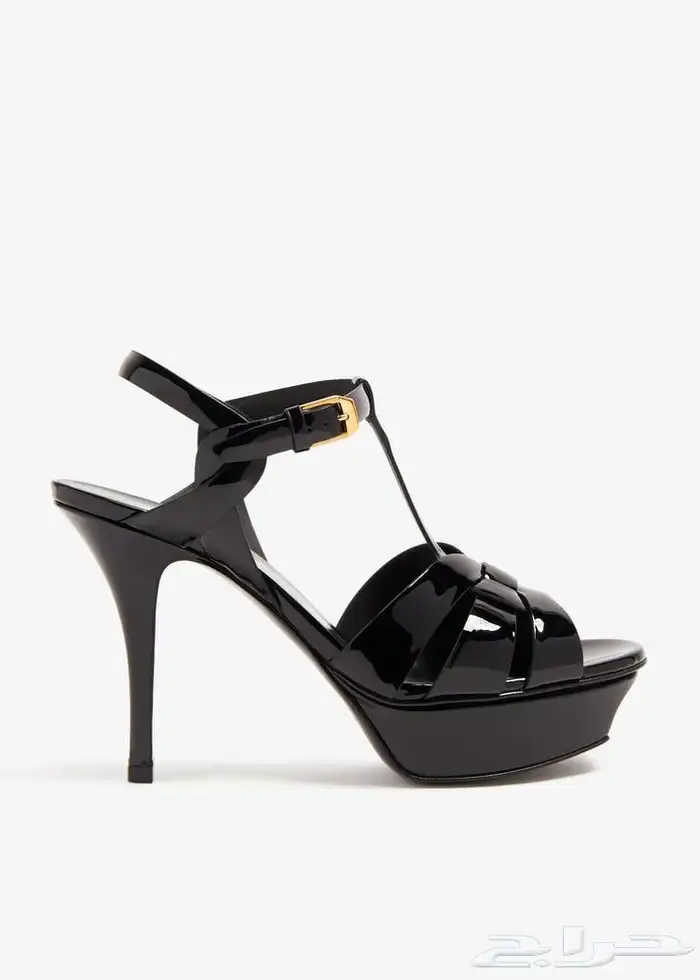 كعب سالوران 3