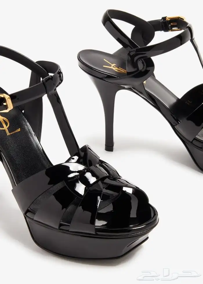 كعب سالوران 0