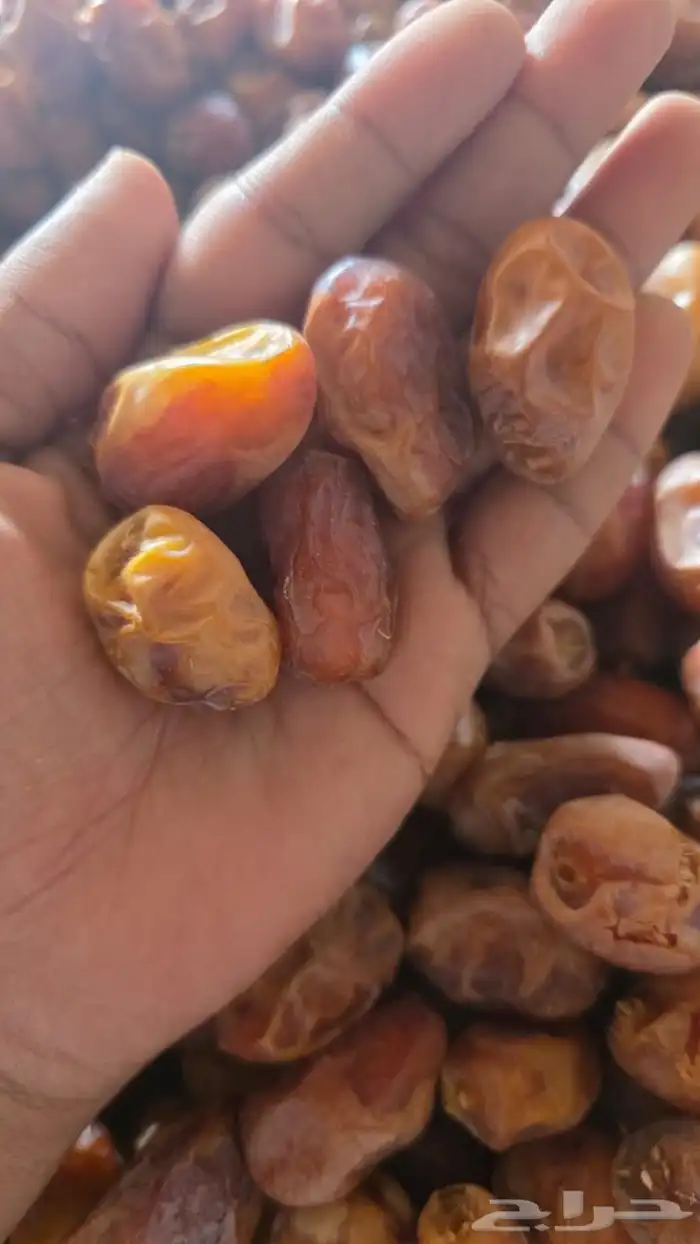 متوفر اخلاص القصيم الكميه 40طن الموقع القصيم 0