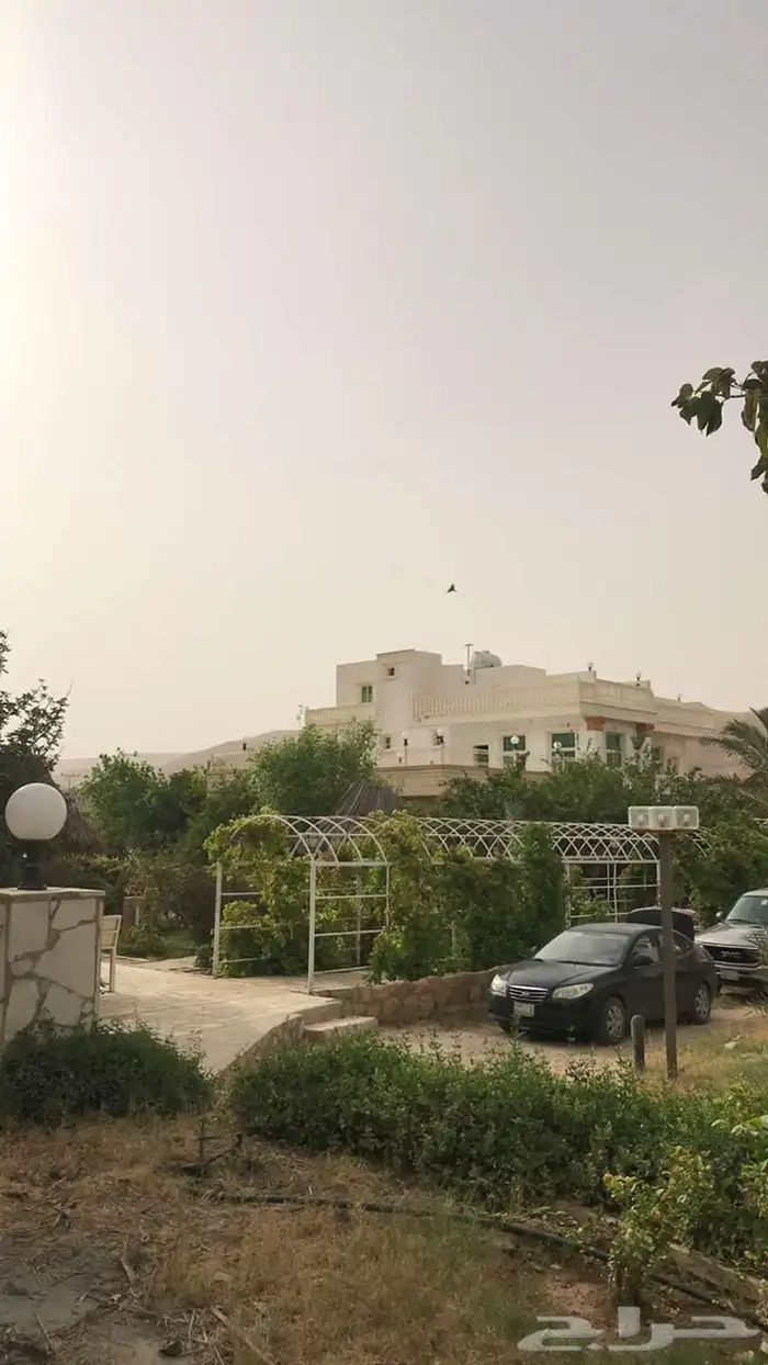 استراحة للبيع بالعمارية بمساحة 10 ألاف متر 14