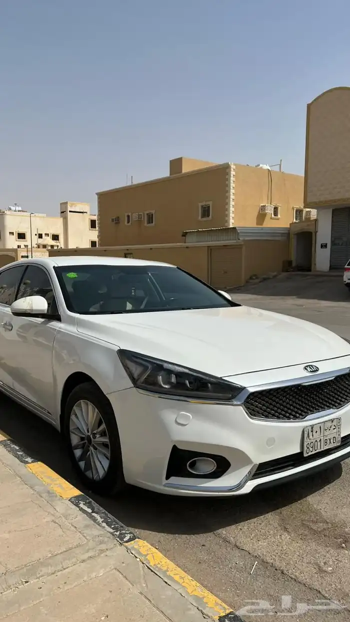 كادينزا2018 نظيف 2