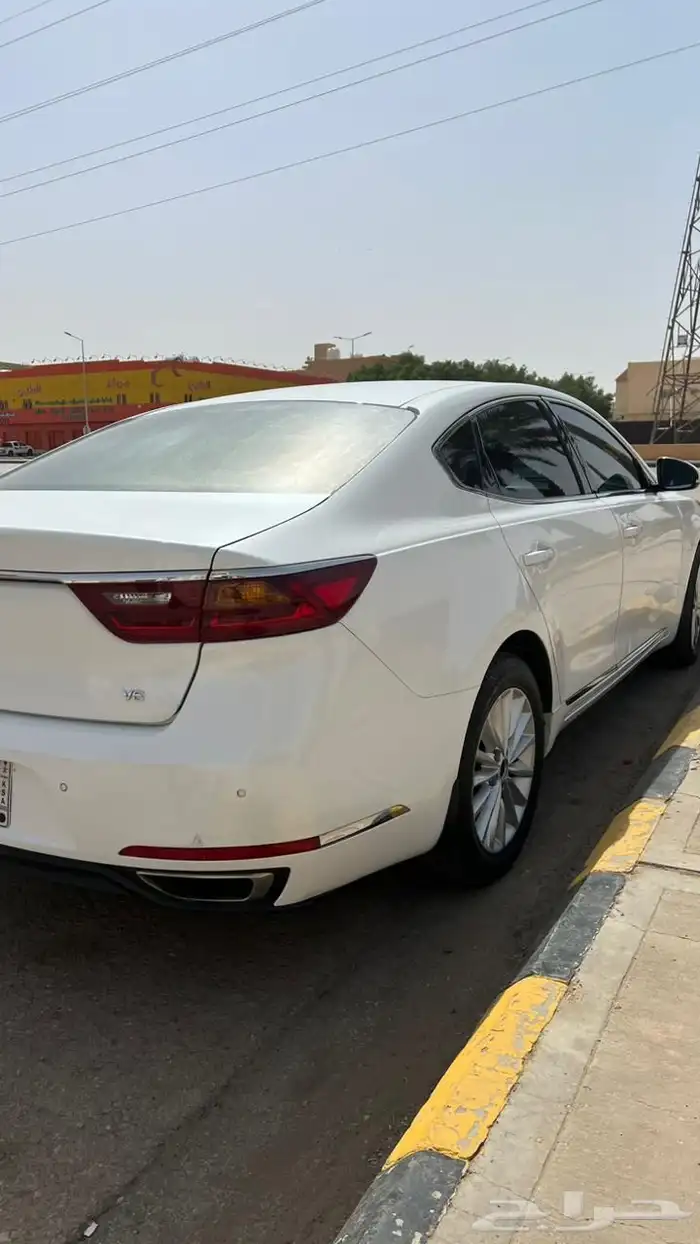 كادينزا2018 نظيف 6