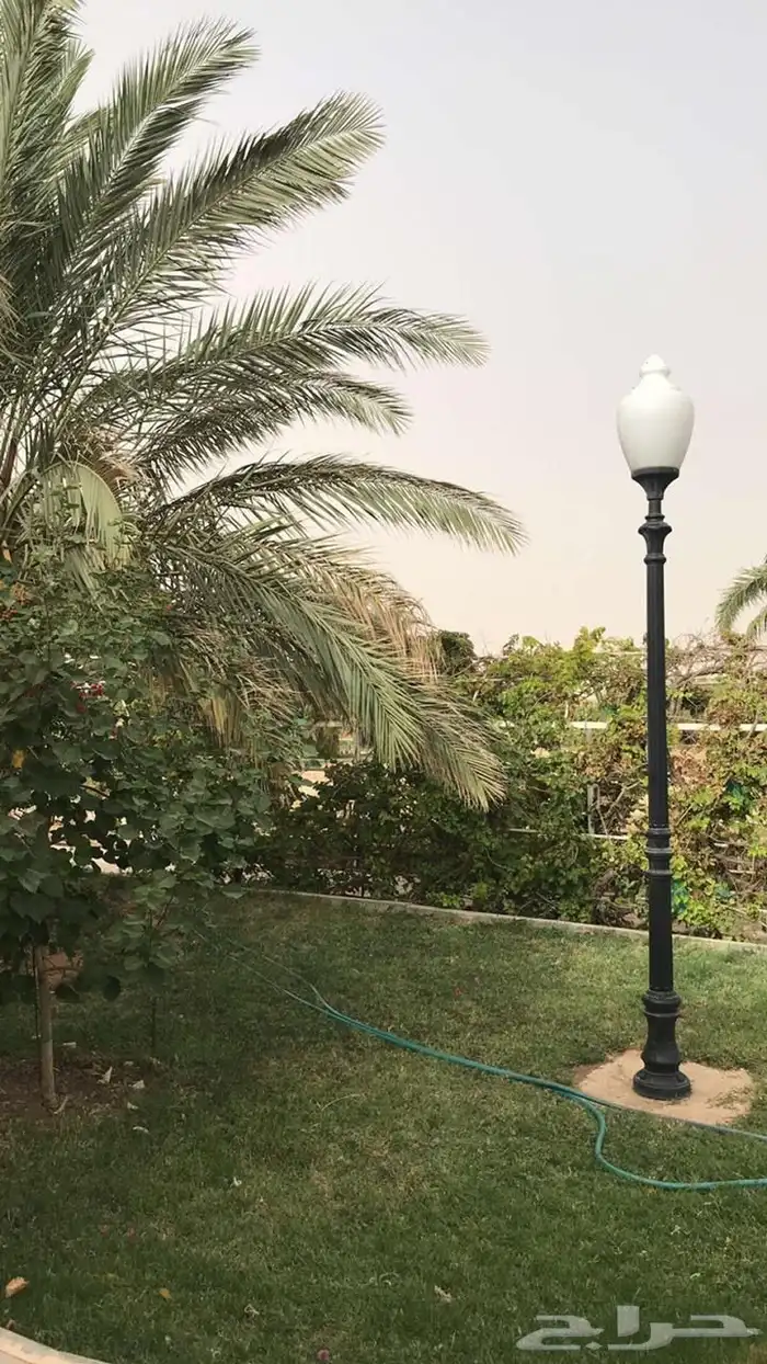 استراحة للبيع بالعمارية بمساحة 10 ألاف متر 4