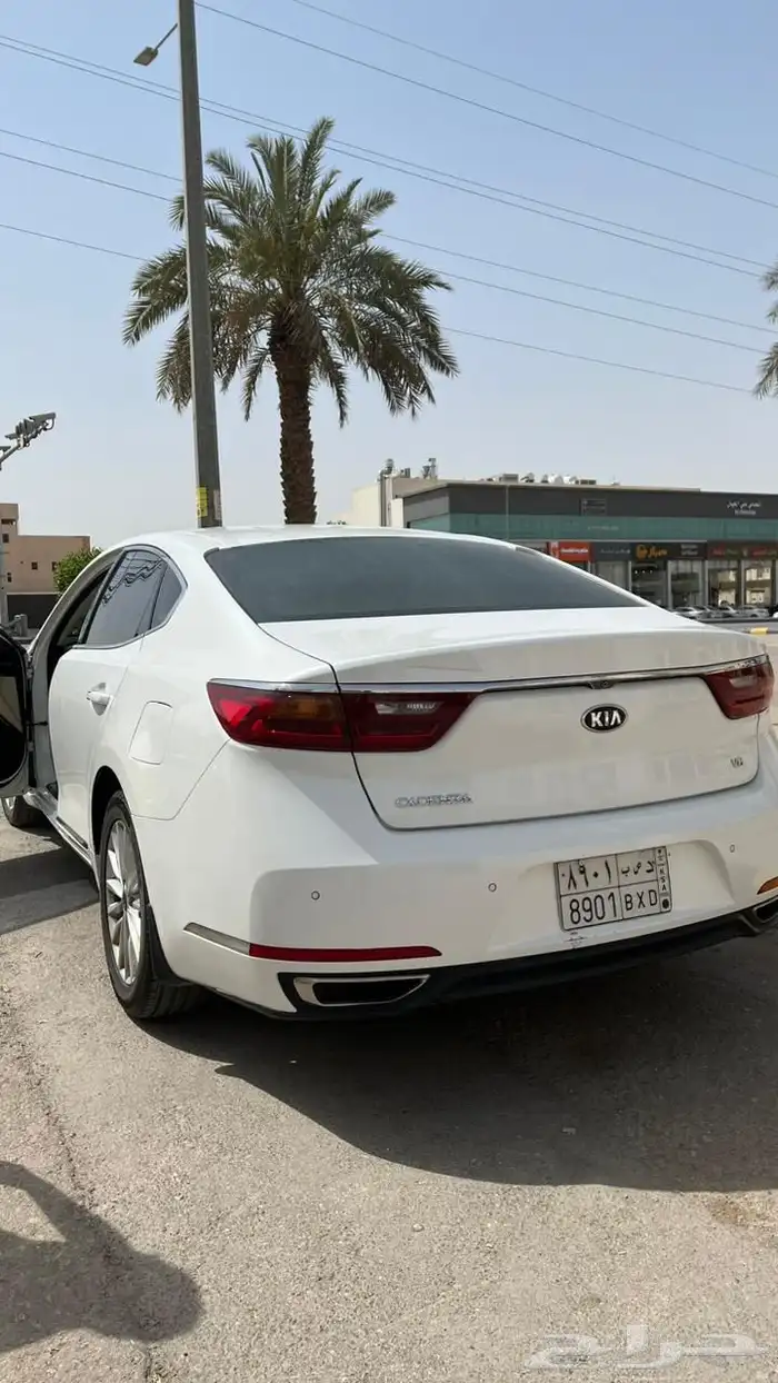 كادينزا2018 نظيف 7