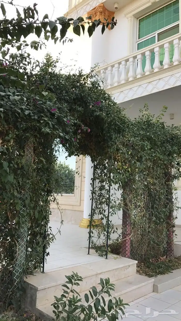 استراحة للبيع بالعمارية بمساحة 10 ألاف متر 1