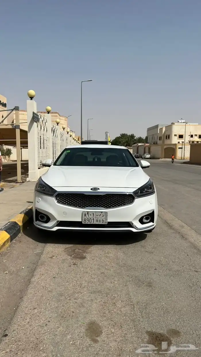 كادينزا2018 نظيف 3