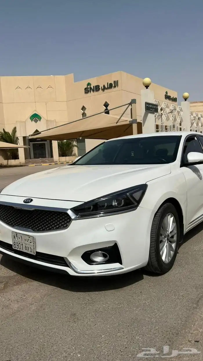 كادينزا2018 نظيف 0