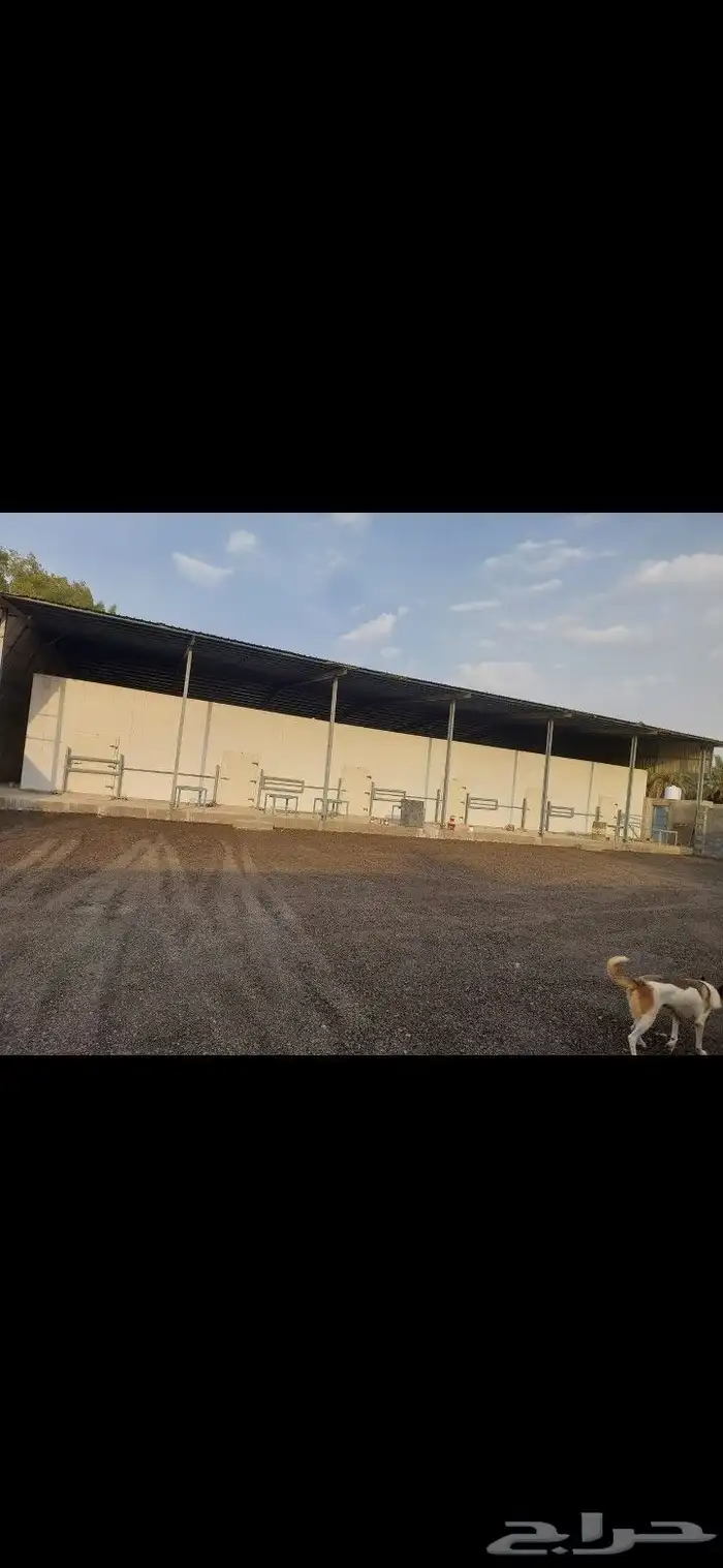 ثلاجات للايجار في المدينة المنورة قبل البيضا موقع مميز 0