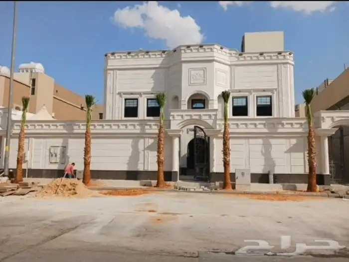 نخل واشنطني زينه 0