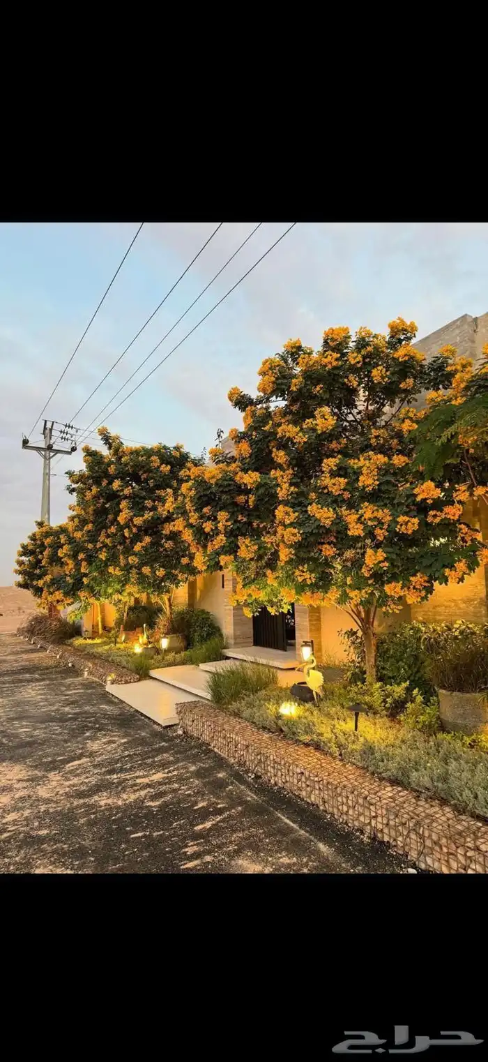 زراعه وحدائق 8