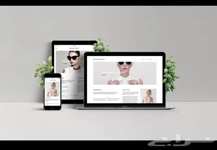 مبرمج تطبيقات ومواقع 2