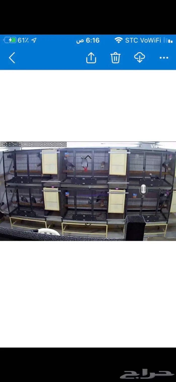 اقفاص كاسكو للبيع 0