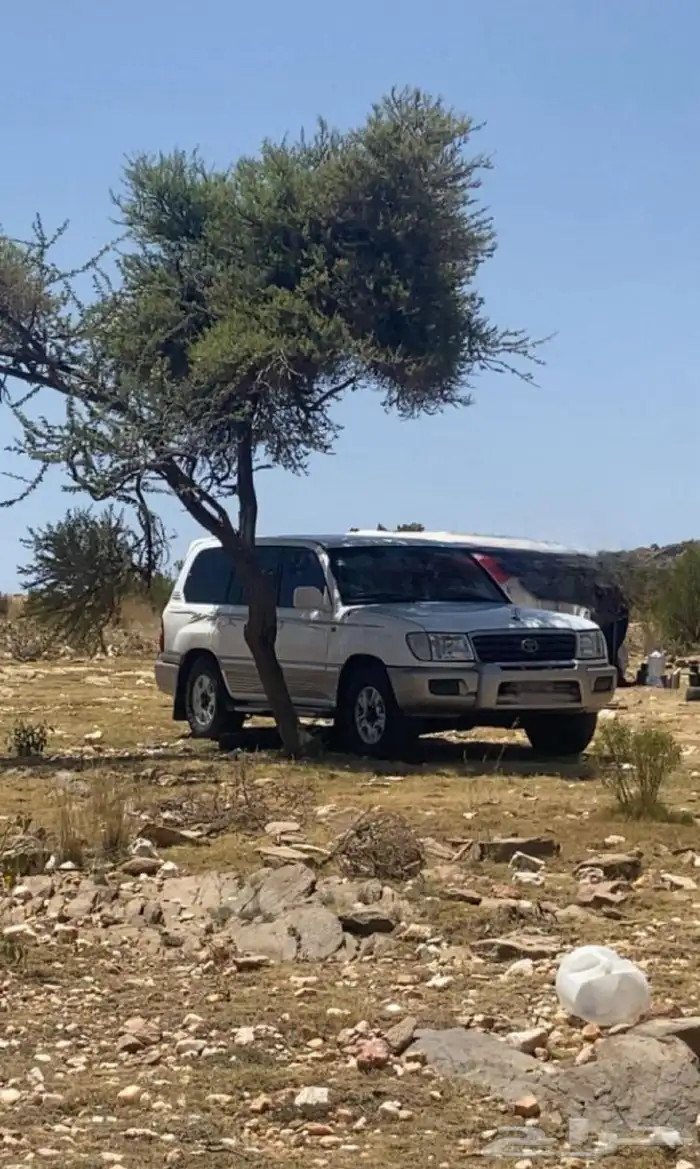 صالون للبيع موديل 2003 3