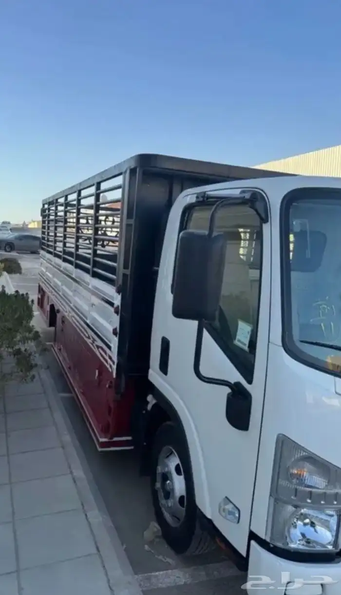 دينه للإيجار 2024 0