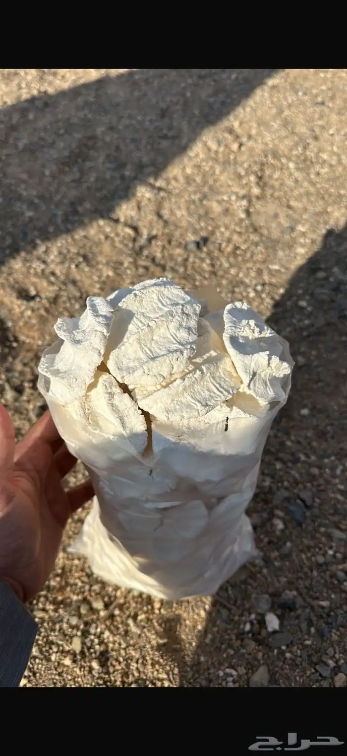 متوفر بقل غنم ومااعز شغل نظيف شغل الوالده 0