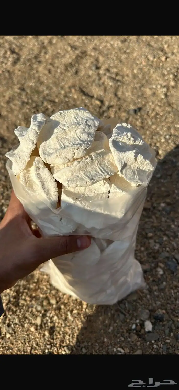 متوفر بقل   مضير شغل نظيف شرط وذمه 0