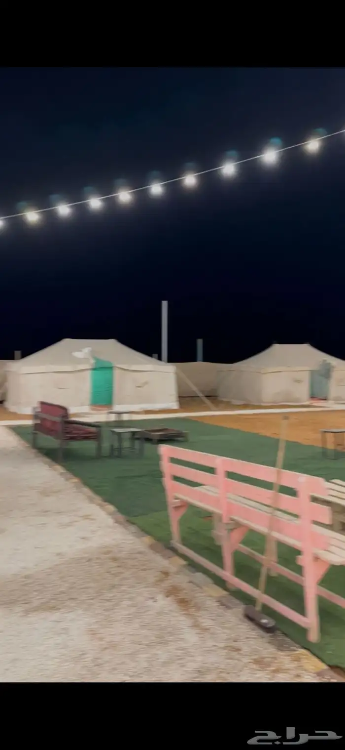 مخيم ام شجرة بنفود الزلفي للايجار اليومي 7