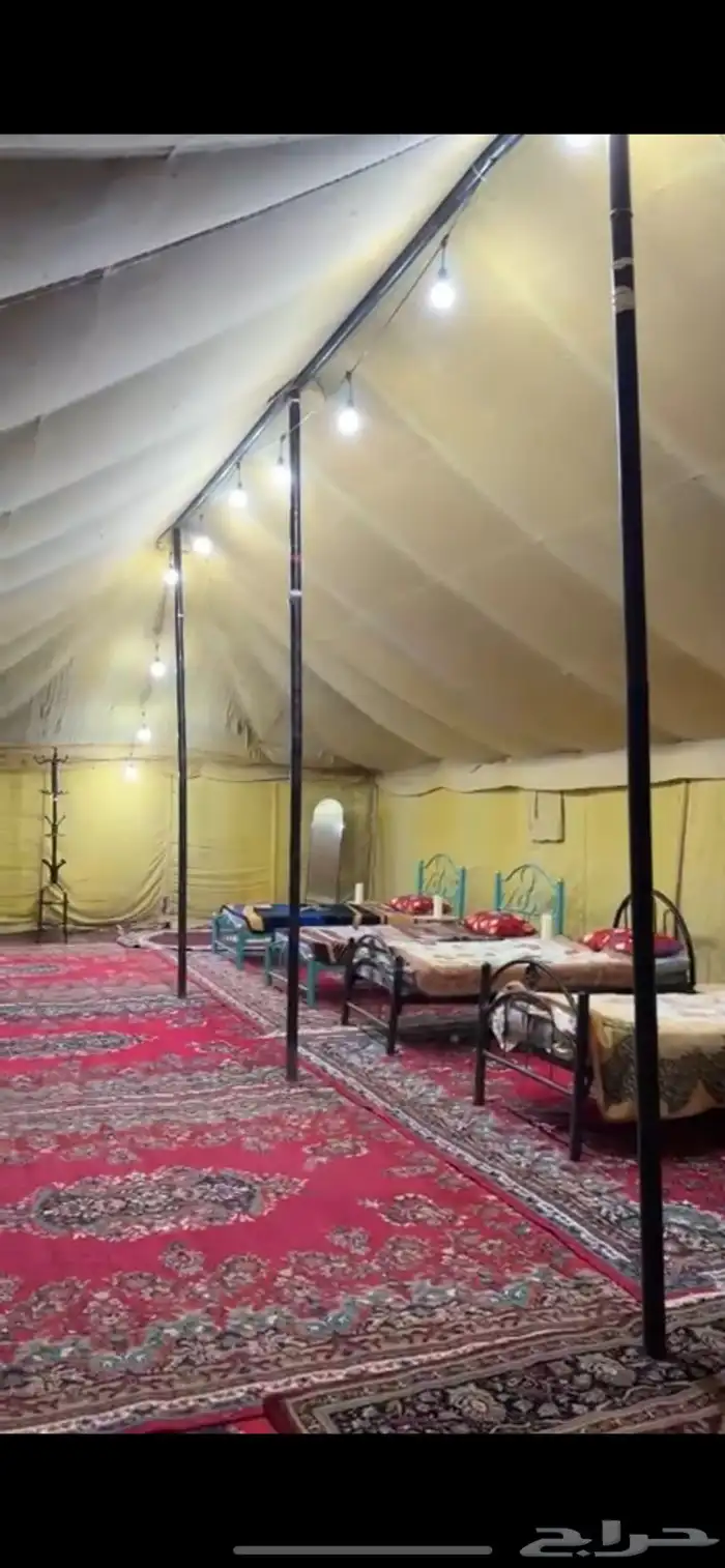 مخيم الدانه البري نقبين (شعيب عانقه) 10