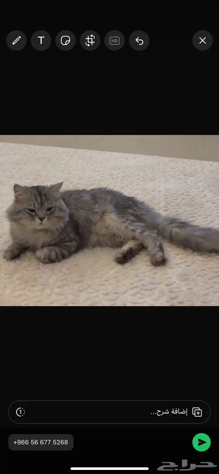 اللي يحصله1500 ريال 1