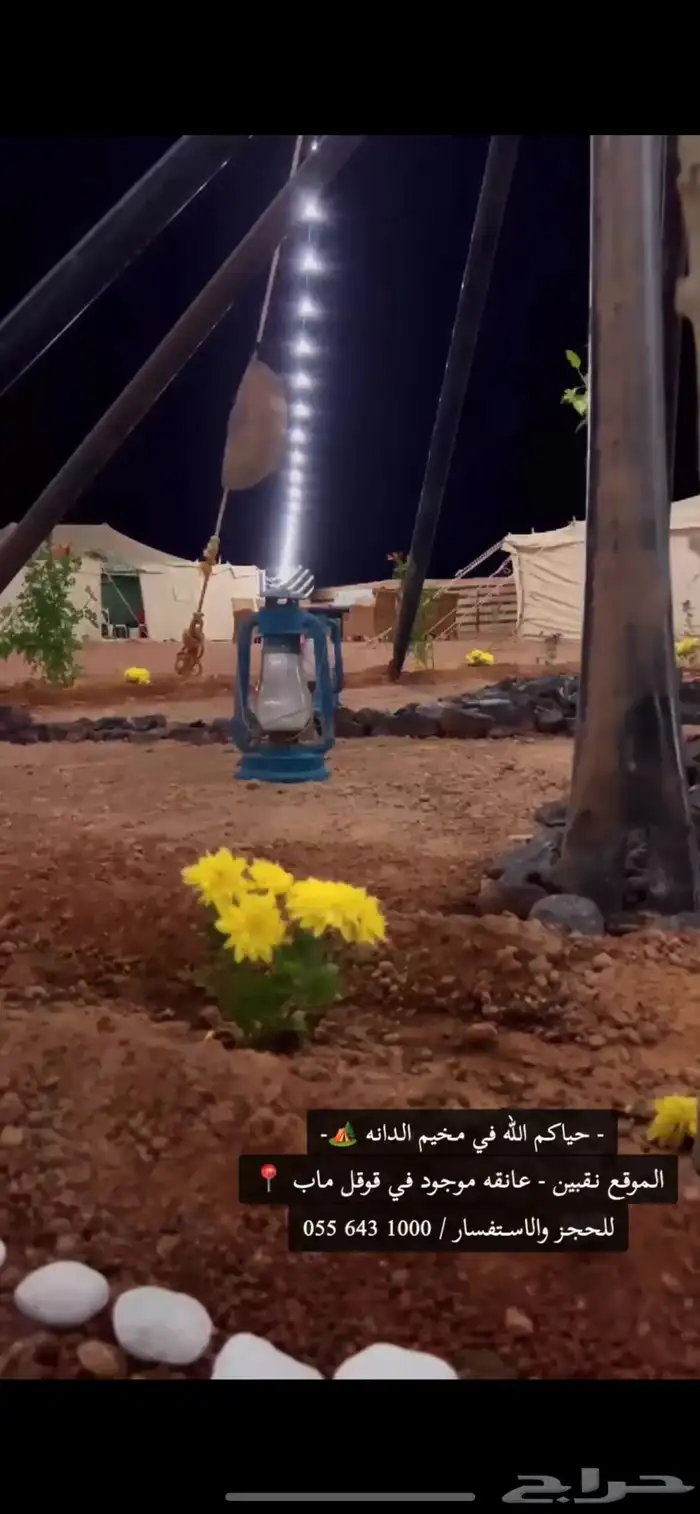 مخيم الدانه البري نقبين (شعيب عانقه) 9