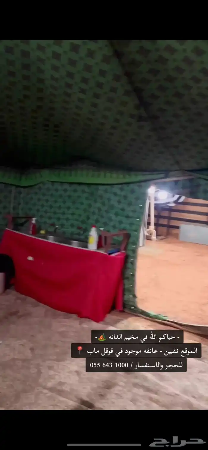 مخيم الدانه البري نقبين (شعيب عانقه) 19