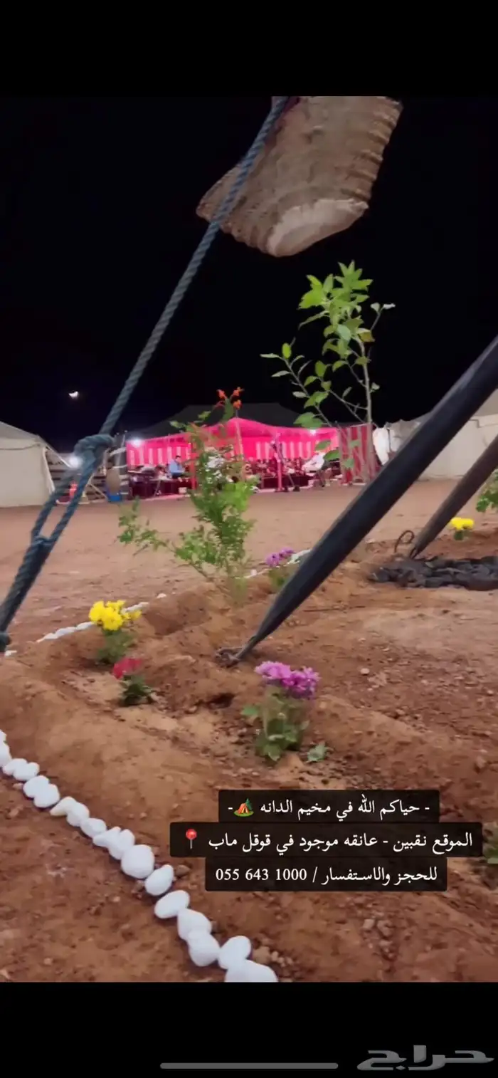 مخيم الدانه البري نقبين (شعيب عانقه) 7