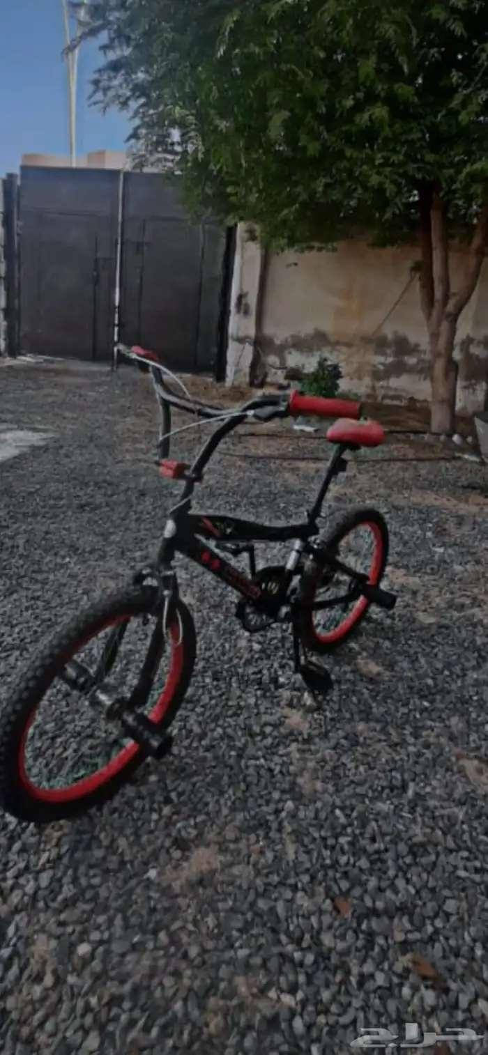 سيكل كوبرا مقاس 20 نظيف شاريه من 6 شهور 0