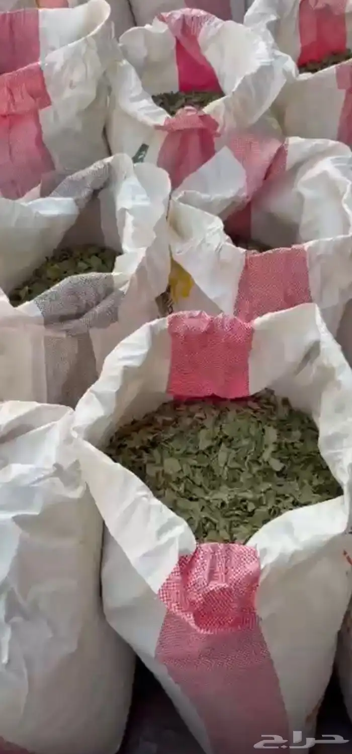 للبيع سدر ورق بلدي 0