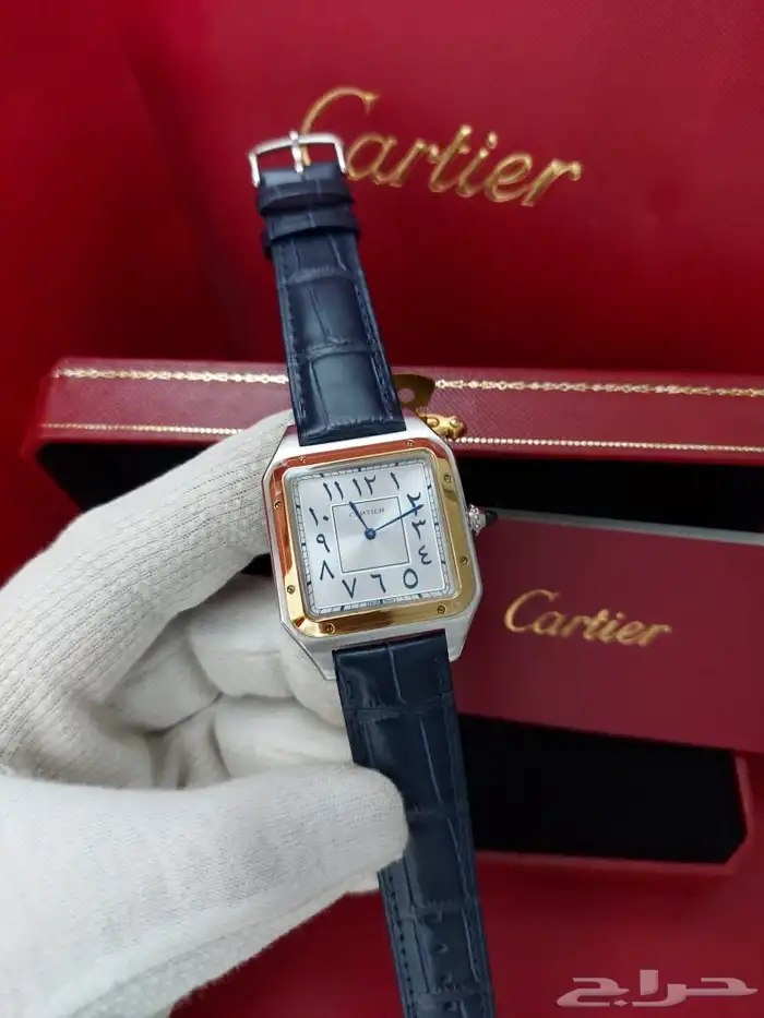 كارتير سانتوس جلد 14