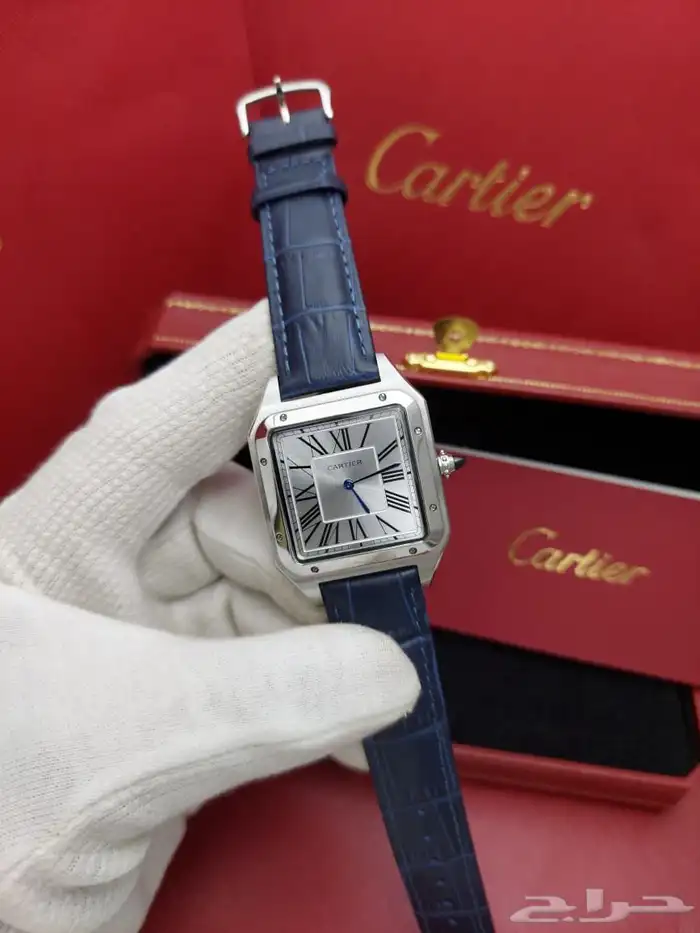 كارتير سانتوس جلد 0